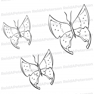 Hi-Res JPG Stock Image "Butterflies Butterfly Three Insects Flying"