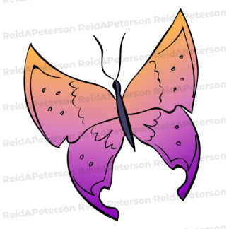 product preview image