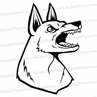 Hi-Res JPG Stock Image "Dog Canine Head Barking Fierce"