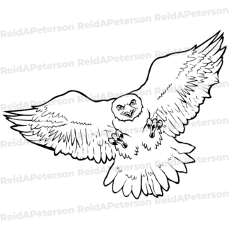 product preview image