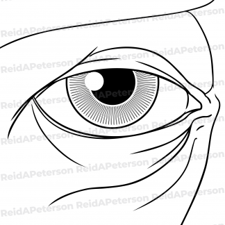 Hi-Res JPG Stock Image "Eye Iris Eyelid Old Tired"