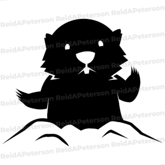 preview image of product