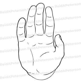 product preview image