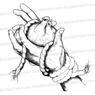 product preview image