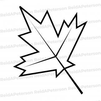 Hi-Res JPG Stock Image "Leaf Maple Tree Single Falling"