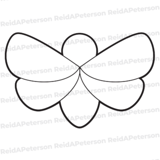 product preview image