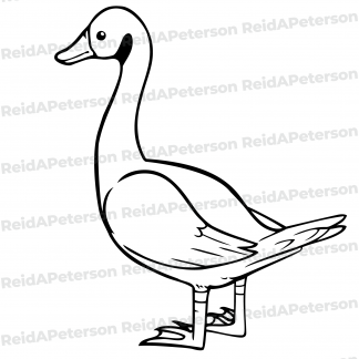 image of a goose
