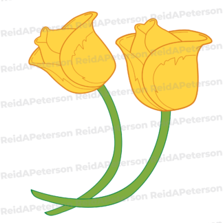 product preview image