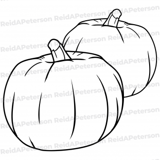 Hi-Res JPG Stock Image "Two Pumpkins Gourds Vegetable Isolated"
